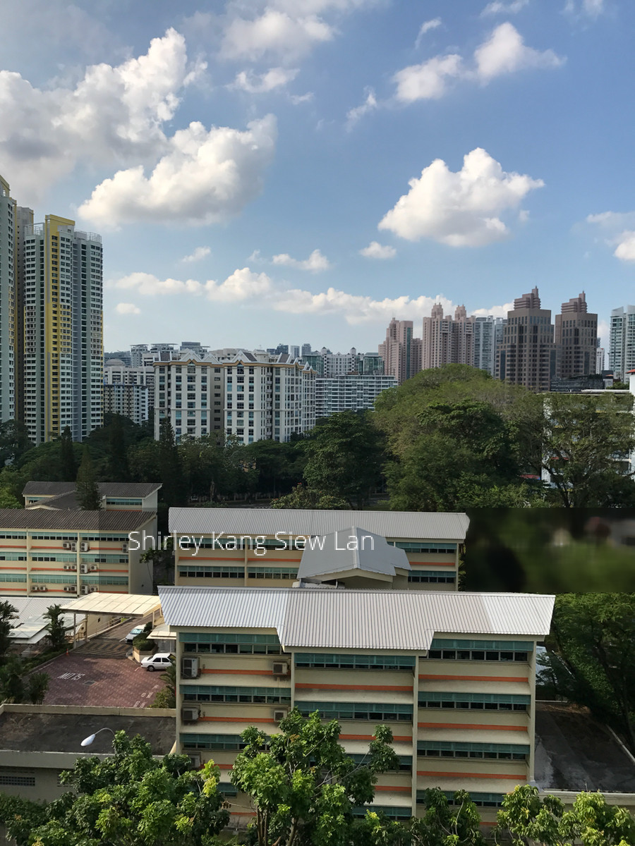 Blk 8B Boon Tiong Arcadia (Bukit Merah), HDB 4 Rooms #140856282